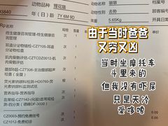 -宠爱国际动物医院·消化内科·心肾内科·ISFM猫友好(望京店)