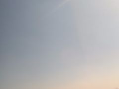 -合肥滨湖国家森林公园