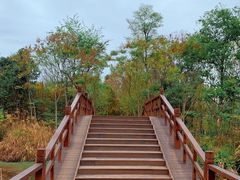 -白鹭湾湿地公园