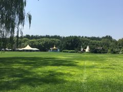 -银树楼(紫玉山庄东区店)