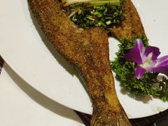 傣家香茅草烤鲈鱼-香巴拉云南餐厅(华莱坞店)