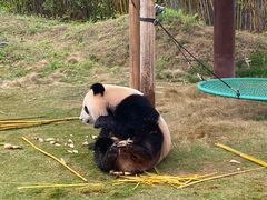 -杭州野生动物世界