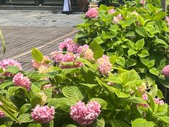 -秘密小花园(第三中学店)
