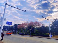 -风云岭森林公园