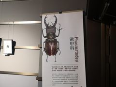 -成都百丽宫影城(LUXE太古里店)