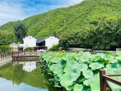 -荷塘味道(水长城店)
