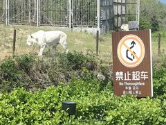 -济南野生动物世界