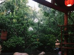 -西安国际创新人才交流中心•药浴温泉