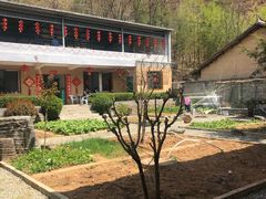 -柞水乾佑红门家菜