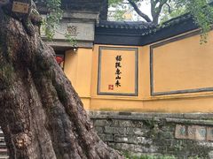 -无锡惠山寺