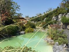 -吴淞炮台湾湿地森林公园烧烤区