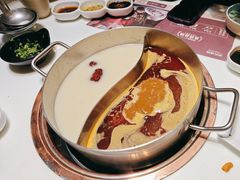 -洪氏嗨捞·猪肚鸡火锅(阳光天地店)