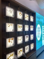 -阅年轻·AI家庭健康体质调理