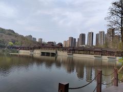 -重庆彩云湖湿地公园