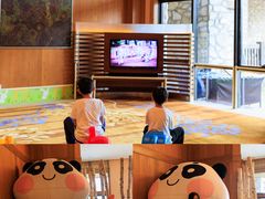 -长白山万达喜来登度假酒店