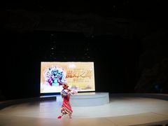 -重庆国际马戏城