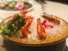 十五年花雕醉红虾-三利音·东方司宴(外滩店)