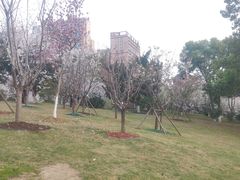 -堤角公园
