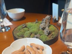 -觀芷隐轩