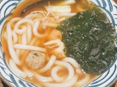 鸟屯乌冬面-鸟屯(三里屯店)