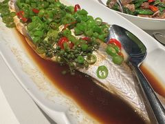 -满满海佛跳墙(千禧店)