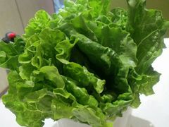 -古乐牛香·鲜牛肉牛杂火锅(新区店)