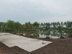 -同銮特种养殖场·龙虾垂钓