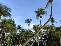 -巴拉湾海滩