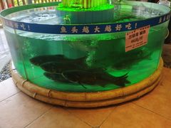 -年辉渔村