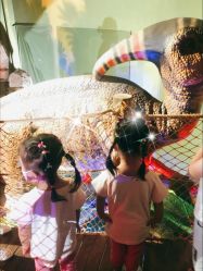 点击看大图 -恐龙探索乐园(磁器口店)