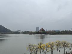 -顺峰山公园