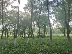 -长春市南湖公园