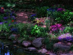 -上海共青森林公园