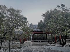 -原山国家森林公园