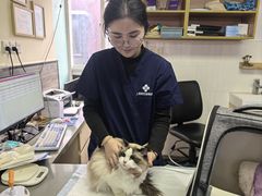 -爱侣宠医·鹦鹉专科·小型哺乳类·异宠专科(灵石路店)