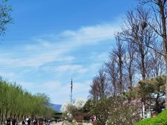 -永定河休闲森林公园