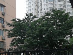 -苹果花园(龙漕路店)