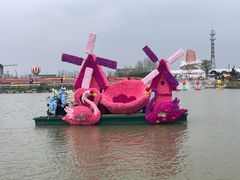 -荷兰花海