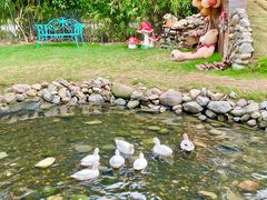 -HERRE·FARM 赫尔露营农场·团建聚会包场