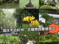 -杭州植物园