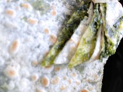 -面道赞宁海海鲜面(迎凤街店)