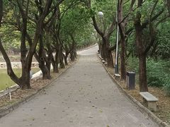 -榴花公园
