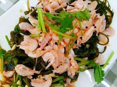 海藻鳞虾-烁佳海鲜大馅饺子