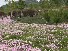 -白佛山景区