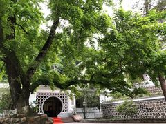 -广东温泉宾馆