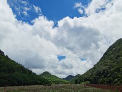 -广州市石门国家森林公园
