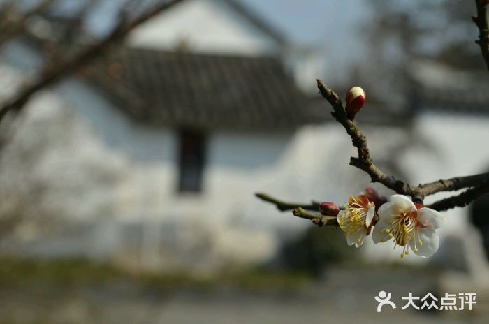 绿宝广场图片