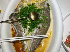 独家抱腌东海大黄鱼-彩虹之约•淮扬家宴(亚运村店)