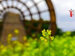 -长春公园(普阳街道)