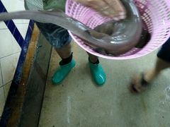 -班赞海鲜市场胖阿姨加工点